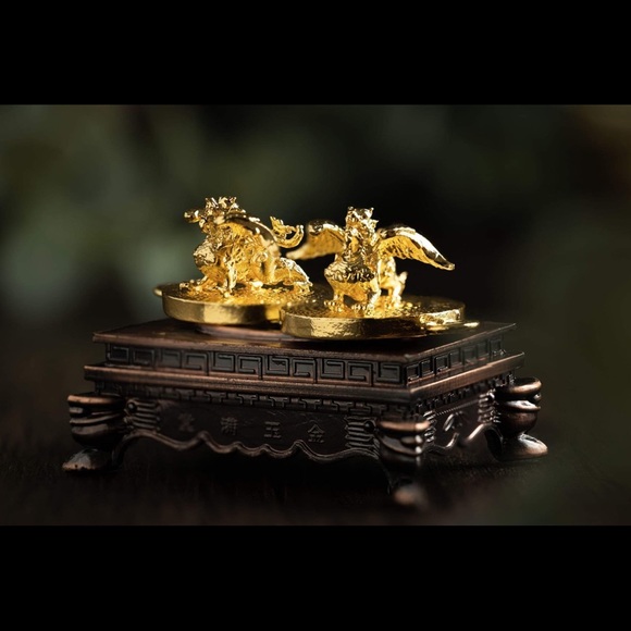 Meet your Posher, Kasira - Picture 1 of 3